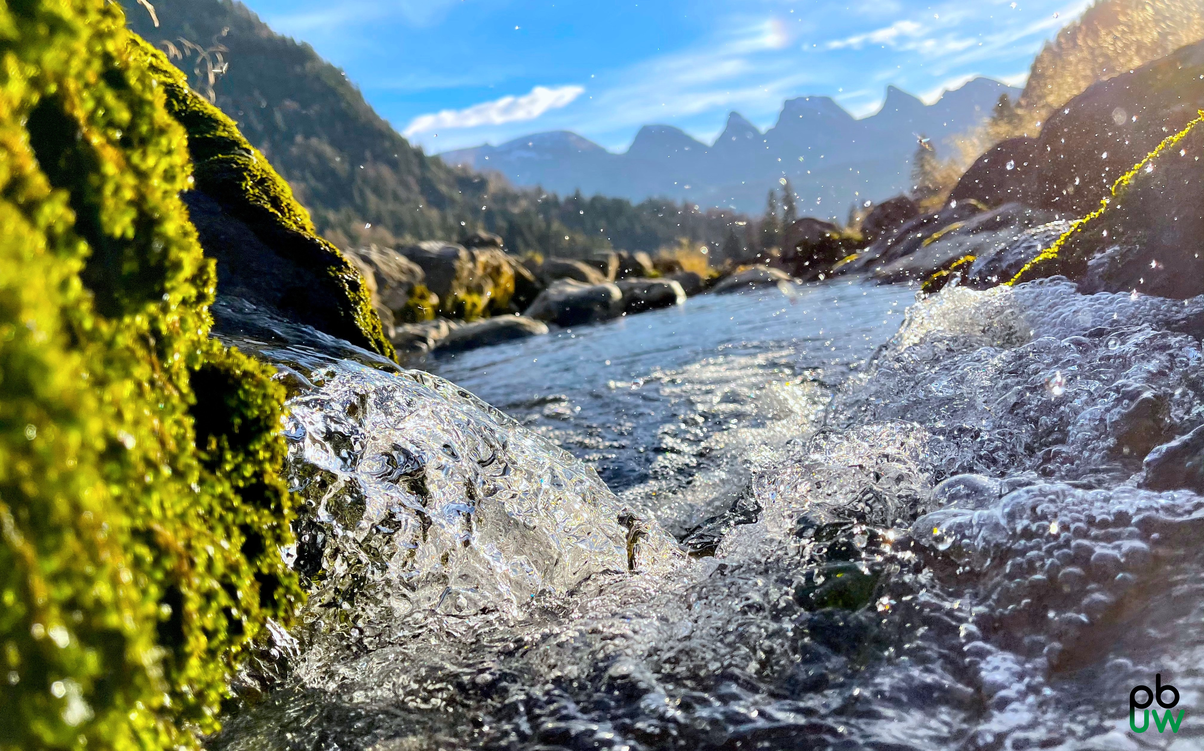 https://photodb.codia.ch/